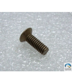 Screw/Parafuso/Tornillo