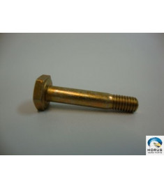 Bolt/Parafuso/Tornillo