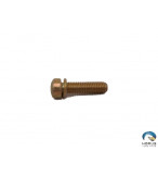 Screw - Continental - 10-35937-12