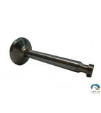 Valve Intake - Eci Ttian - AEL73938