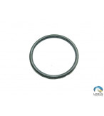 O-Ring - Robinson - MS28775-019