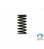 Spring Valve - Eci Titan - AEL11797